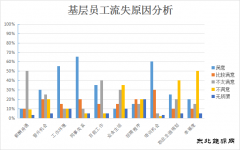 青年员工，怎样才能留住你？——基层青年员工流失原因分析及对策